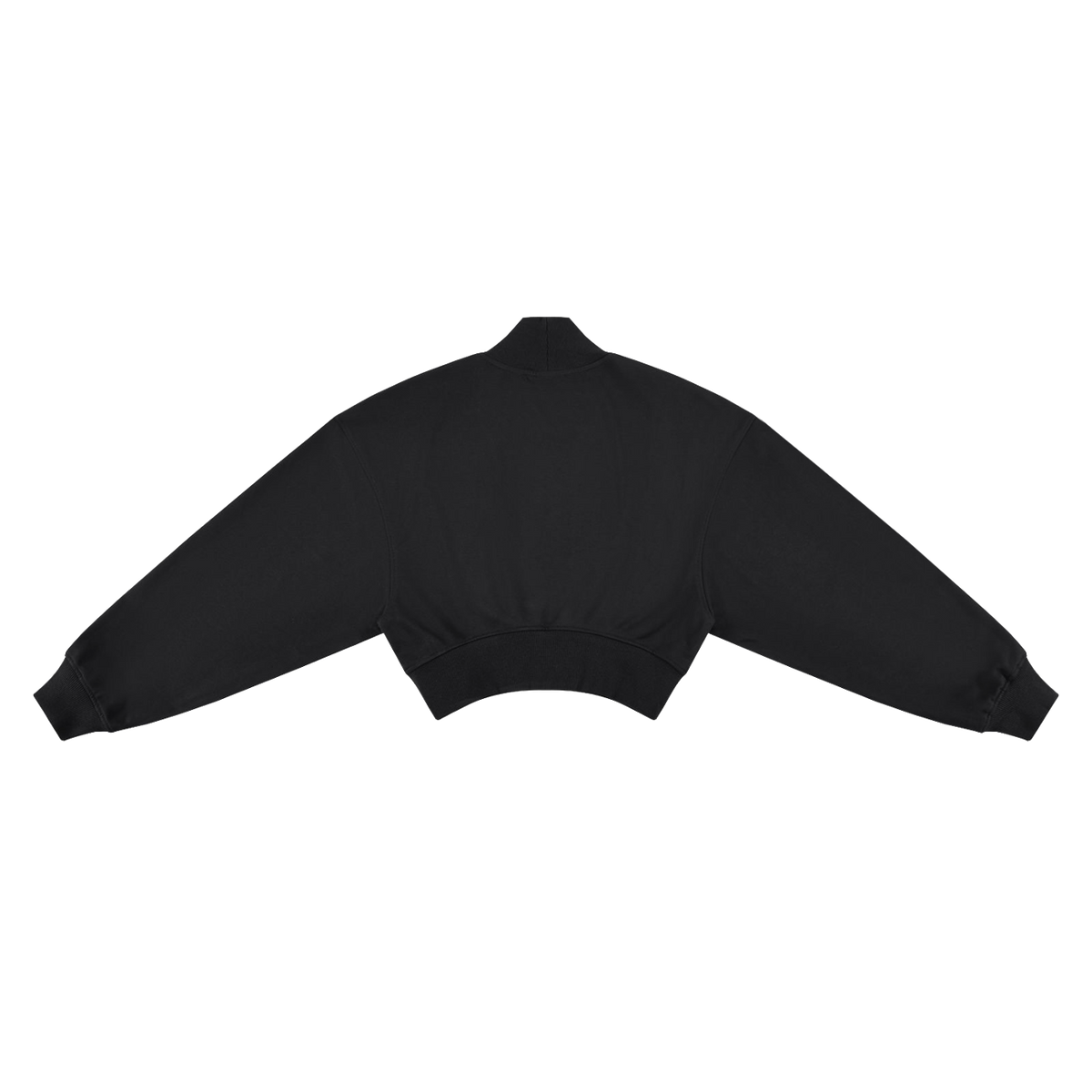 IBM x BYTE {CROP MOCK NECK SWEATSHIRT}